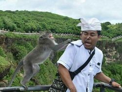 Foto-Foto yang Menangkap Awal Dari Kesialan yang Tak Direncanakan