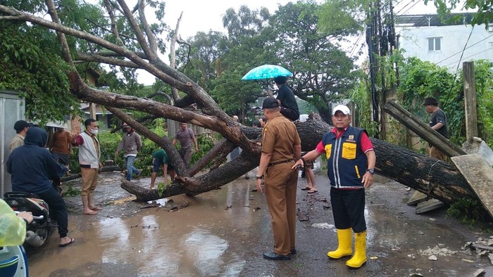 Warga dan pihak Kecamatan Seberang Ulu 1 melakukan evakuasi pohon tumbang