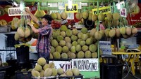 Pemerintah Malaysia Diminta Tetapkan Durian sebagai Buah Nasional