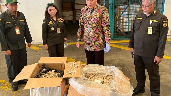 Foto: Badan Karantina Indonesia membongkar praktik curang ekspor Sarang Burung Walet ke Vietnam (dok. Badan Karantina)