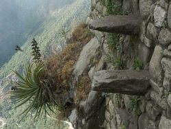 Foto Tangga Paling Aneh dan Berbahaya, Salah Langkah Bisa Beda Alam