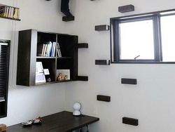 Foto Tangga Paling Aneh dan Berbahaya, Salah Langkah Bisa Beda Alam