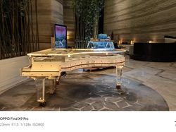 Menjajal Kamera Oppo Find X9 Pro yang Mind Blowing