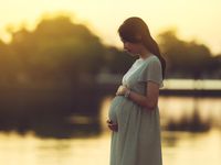 Bos BGN Minta Uang ke Purbaya, tapi Ditegur DPR karena Tak Paham Cara Ajukan Anggaran