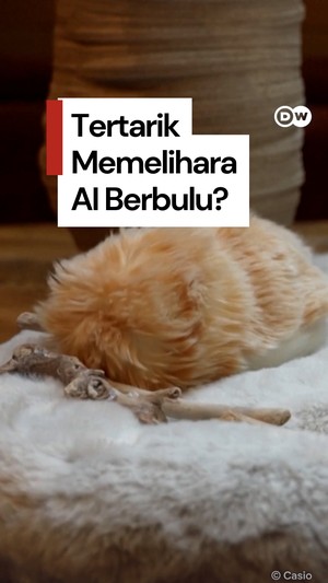 Video: Ini Moflin, Robot AI Berbulu yang Bisa Dipelihara