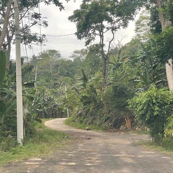 Jalan Menuju Pantai Teluk Asmara Jalan Menuju Pantai Teluk Asmara