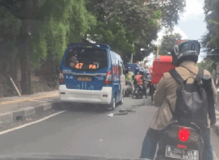 Kemunculan ular sanca panjang di Jati Padang, Jaksel membuat pengguna jalan heboh dan ketakutan. Sanca itu muncul di siang hari dan kondisi lalin macet. (dok Pribadi/Ami AP)