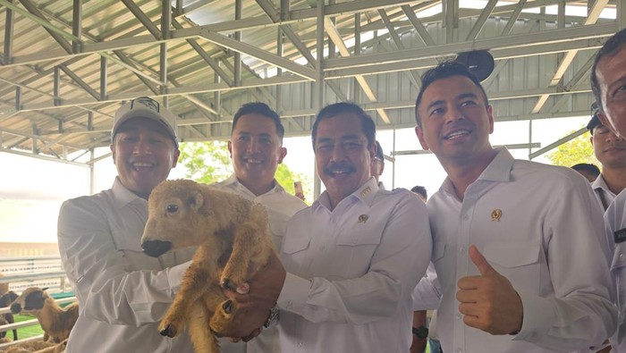 Keseruan Irfan Hakim, Raffi Ahmad dan Menteri Imipas Agus Andrianto di peternakan domba Garut Lapas Kelas IIA Kembang Kuning Nusakambangan, Cilacap, Jawa Tengah, Rabu (5/11/2025).