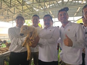 Momen Seru Raffi Ahmad dan Irfan Hakim Main ke Kandang Domba Nusakambangan
