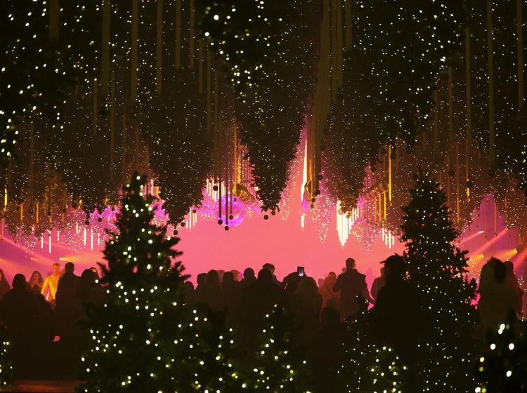 Ketika Cahaya Menari, Forest Winter Light Hadirkan Nuansa Natal Modern