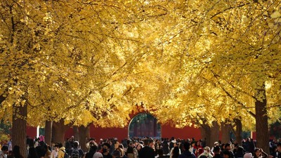 Momen Terbaik Nikmati Musim Gugur di Beijing