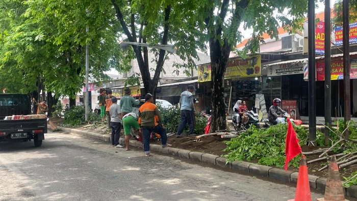 Pertugas DLK Sidoarjo melakukan perantingan pohon