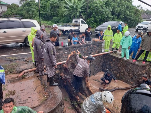 Petugas gabungan beserta membersihkan batang kayu yang menyumbat aliran air di Jalan Denpasar-Gilimanuk tepatnya di Banjar Sumbersari, Desa Melaya, Kecamatan Melaya, Kabupaten Jembrana, Selasa (11/11/2025). (Dok. Polres Jembrana)