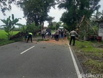 Pohon Tumbang Tutup Akses Bantul-Kulon Progo, Lalin Sempat Lumpuh