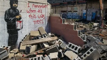 I Remember When All This Was Trees karya Banksy. Karya ini ditemukan di sebuah pabrik terbengkalai di Detroit, Amerika Serikat, menggambarkan seorang anak kecil memegang sekaleng cat merah, di belakangnya, terdapat tulisan, Aku ingat ketika semua ini masih berupa pepohonan. Pesan yang kuat ini berbicara banyak tentang kerusakan perkotaan dan hilangnya habitat alami. Foto: via StreetArtUtopia