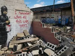 Deretan Karya Seni Jalanan dengan Pesan Menohok tentang Lingkungan