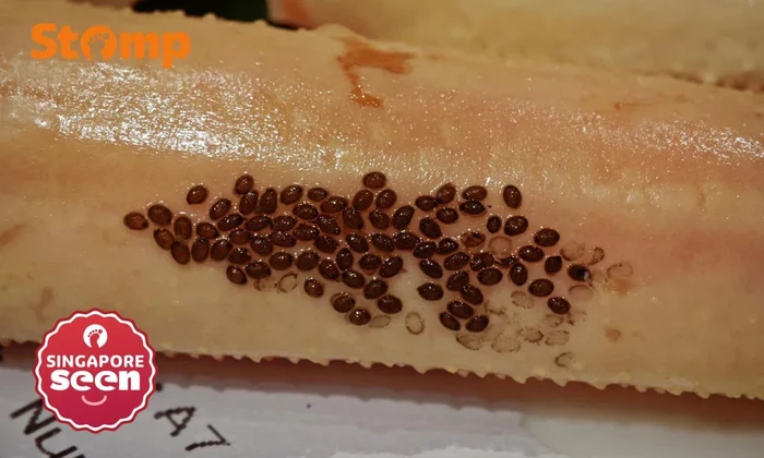 **Kepiting Salju dengan Telur Lintah Laut: Resep yang Bikin Heboh!**