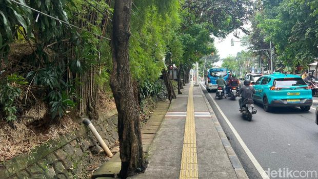 Ular sanca panjang melata di tengah jalanan Jaksel. Warga sekitar menceritakan momen ular sanca tersebut merayap di jalanan hingga membuat takut pengendara. (Adhfar AS/detikcom)