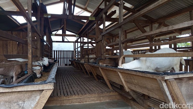 UMKM Binaan Pertamina