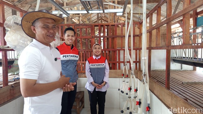 UMKM Binaan Pertamina