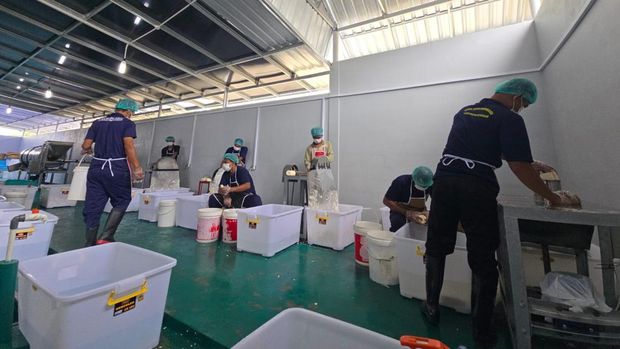 Balai Latihan Kerja Pengolahan Mocaf di Lapas Nirbaya,, Nusakambangan, Cilacap, Jawa Tengah.