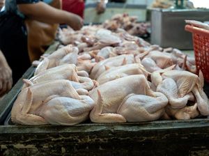 Harga Sembako Jogja Hari Ini 11 Februari 2026: Daging Ayam Sentuh 40 Ribu/Kg!