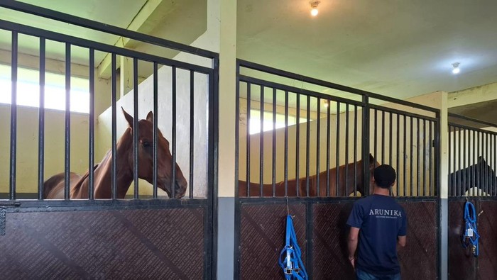 Salah satu hewan yang sedang dikarantina Barantin