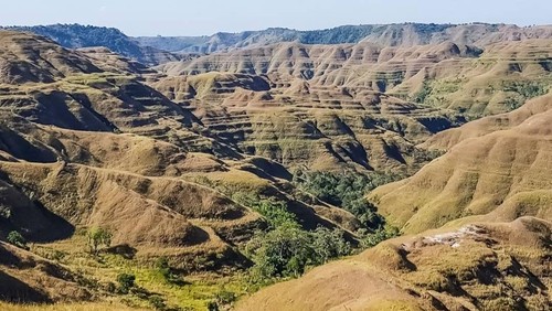 Keindahan Bukit Tanarara, Sumba Timur, NTT, saat musim kemarau (Tangkap Layar Google Maps/padma/2021)