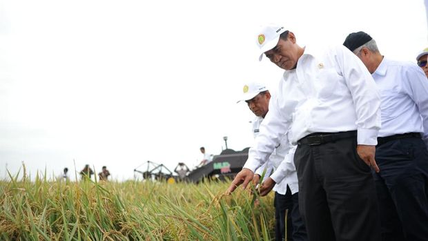 Mentan Amran Sulaiman melakukan inspeksi mendadak di lahan percobaan Balai Besar Perakitan dan Modernisasi Pertanian (BRMP) Tanaman Padi Sukamandi, Kabupaten Subang, Jawa Barat, Rabu (12/11/2025). (Dok. Kementan)