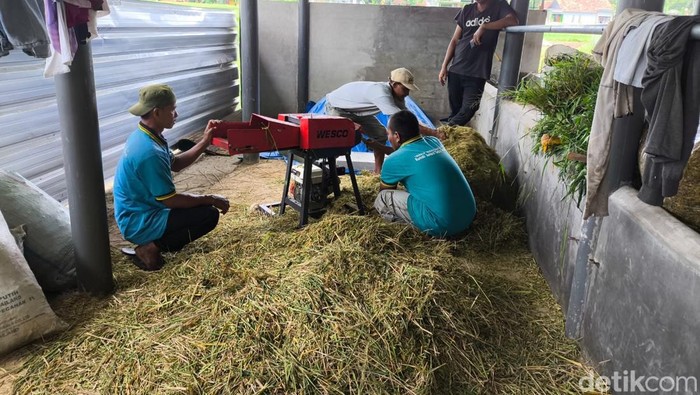 ODGJ dilatih berdaya di Kuningan.