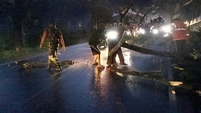 Pohon tumbang di Sukabumi