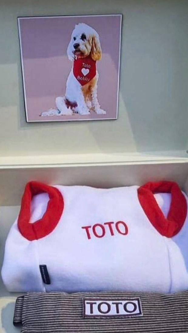 Prabowo beri hadiah ke Toto, anjing PM Australia (dok.IG Sekretariat Kabinet)