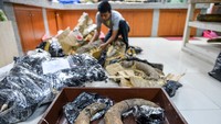 Geolog merangkai fosil gajah purba (Stegodon trigonocephalus) saat proses preparasi di Museum Geologi, Bandung, Jawa Barat, Rabu (12/11/2025). ANTARA FOTO/Raisan Al Farisi