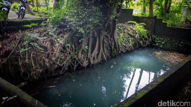 Sendang Beji Duku Diro Sleman Sendang Beji yang menjadi saksi sejarah berdirinya Padukuhan Diro, Sendangmulyo, Minggir, Sleman, Rabu (12/11/2025)
