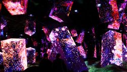 Sensasi Berkunjung ke Museum Seni Digital Terbesar Jepang