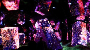 Sebuah ruang seni imersif di Kyoto menawarkan pengalaman baru bagi pengunjung dari seluruh Jepang dan dunia, yang dirancang untuk menghilangkan batas antara pengamat dan karya seni, seiring pendirinya berupaya untuk memperluas persepsi manusia. REUTERS/Kim Kyung-Hoon