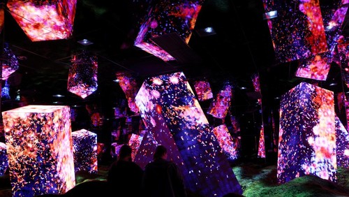 Visitors watch digital artwork at teamLab Biovortex in Kyoto, Japan, November 9, 2025. REUTERS/Kim Kyung-Hoon