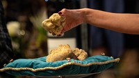 Petugas memperlihatkan truffle putih kepada peserta lelang internasional. Spesimen langka ini menjadi sorotan utama dalam acara bergengsi yang diikuti kolektor dunia. REUTERS/Alessandro Garofalo