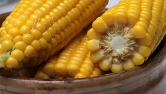 Dikukus atau Direbus? Manfaatnya Beda Lho, Jangan Salah Pilih