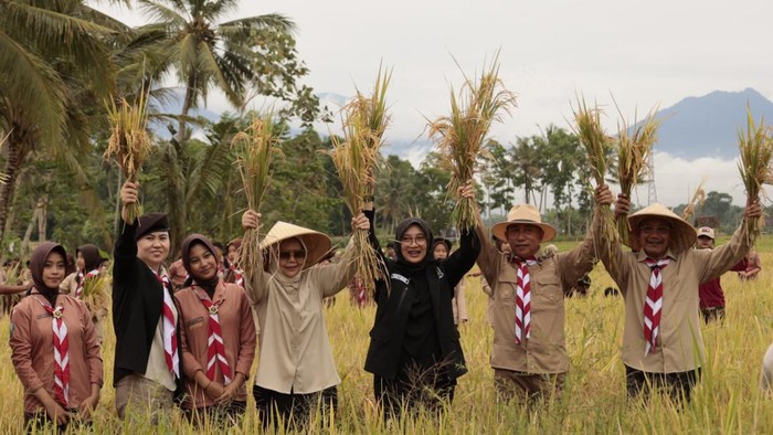 Acara panen padi, penanaman jagung kuartal IV, dan penanaman pohon durian di Green Farm Desa Karangsari, Kecamatan Sempu
