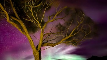 Waterfall Bay Lookout, Tasmania, Australia. Foto: Julian Witek via The Guardian