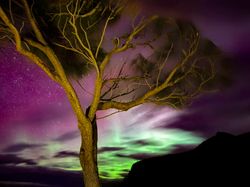 Cantiknya Warna-warni Aurora di Langit Amerika, Eropa, hingga Australia