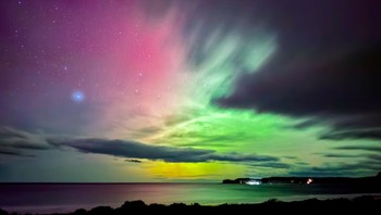 Pirates Bay, Tasmania, Australia. Foto: Julian Witek via The Guardian