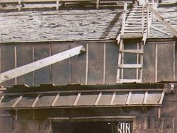 Foto-foto Jadul Ini Punya Kisah Mencengangkan di Baliknya!