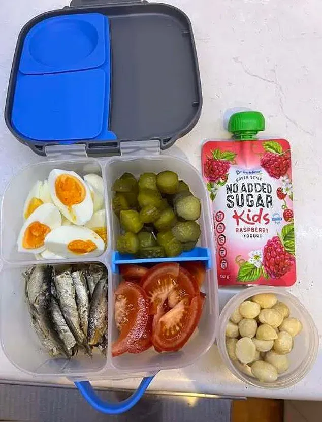 Gegara Menunya Bau Menyengat, Bekal Sekolah Anak Ini Jadi Sorotan