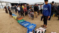 Warga Palestina berkumpul di dekat peti berisi ikan yang dijual di pelabuhan Kota Gaza, Rabu (12/11/2025). Gencatan senjata sementara membawa sedikit harapan bagi kehidupan ekonomi pesisir. REUTERS/Mahmoud Issa