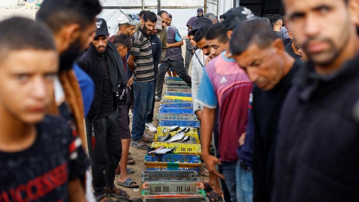 Palestinians look at crates of fish for sale, during a ceasefire between Israel and Hamas, at the seaport of Gaza City, November 12, 2025. REUTERS/Mahmoud Issa