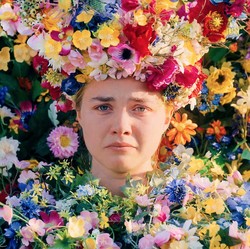 Bayaran Mahal Florence Pugh di Midsommar: Depresi 6 Bulan