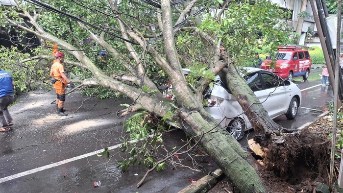 Pohon tumbang timpa mobil di Kota Bogor (Sholihin/detikcom)