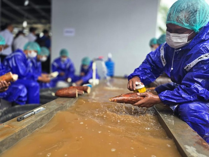Proses pembuatan tepung Mocaf hingga berbagai menu olahan berbahan dasar Mocaf ala Lapas Nirbaya Nusakambangan.